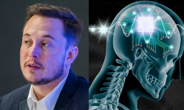 Elon Musk pronto a collegare un cervello umano a un computer