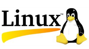 I sistemi operativi Linux più influenti di sempre