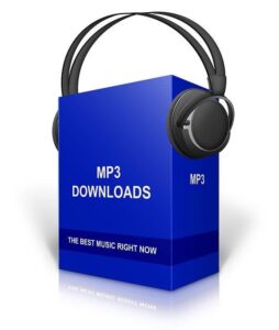 I formati audio digitali: dal CD al FLAC
